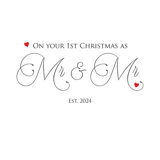 1st Christmas as Mr & Mr